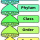 Illustration for article titled Bizarre Microbes Represent a Major New Branch on the Evolutionary Family Tree